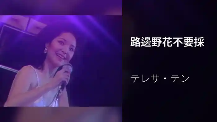 路邊野花不要採