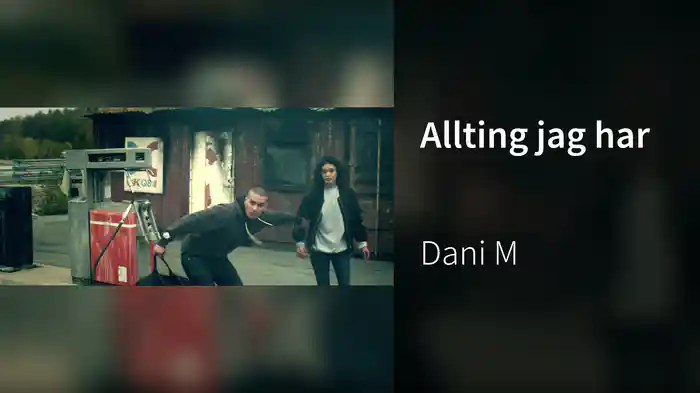 Allting jag har