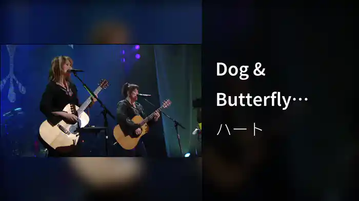Dog & Butterfly (Live)