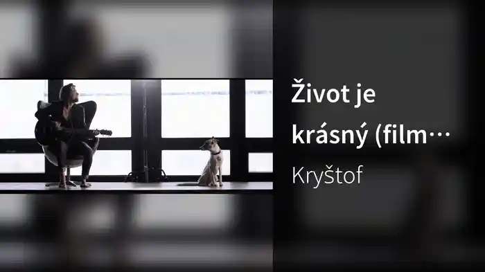 Život je krásný (film Gump Jsme dvojka)