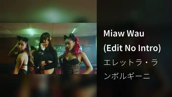 Miaw Wau (Edit No Intro)