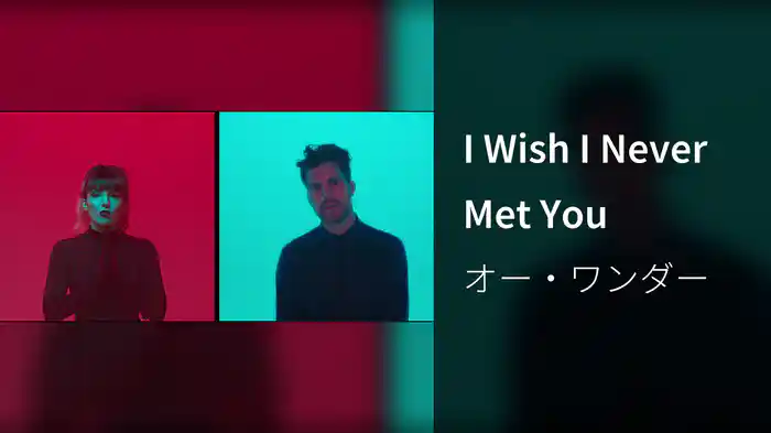 I Wish I Never Met You