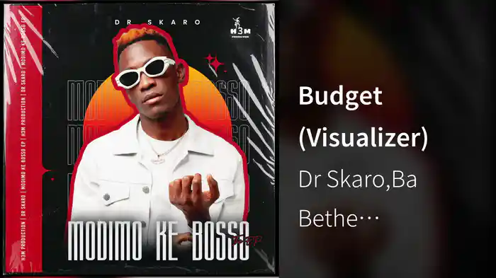 Budget (Visualizer)