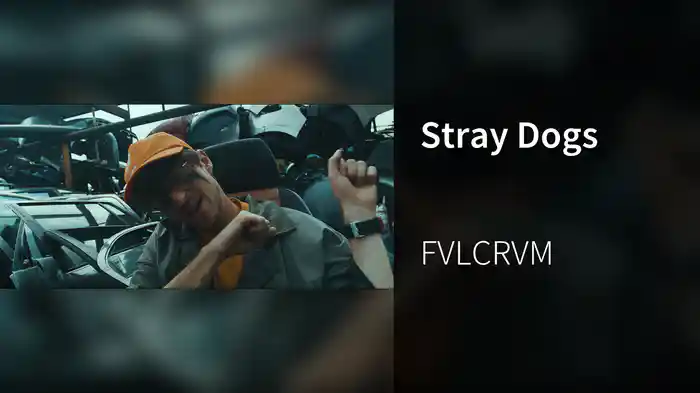 Stray Dogs