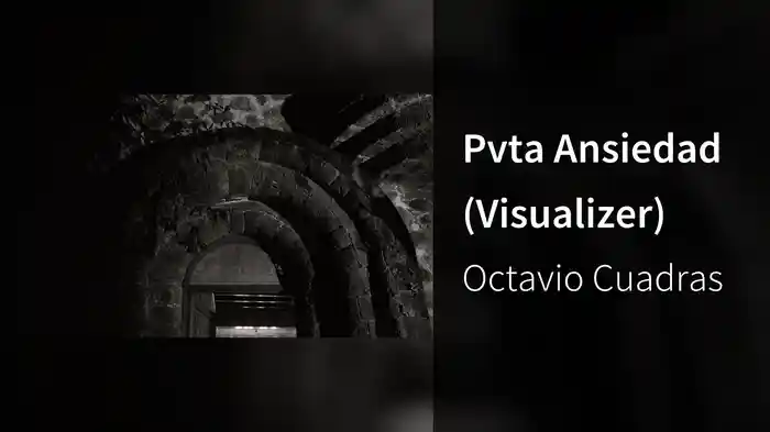 Pvta Ansiedad (Visualizer)