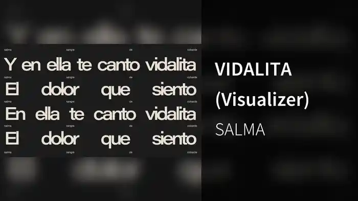 VIDALITA (Visualizer)