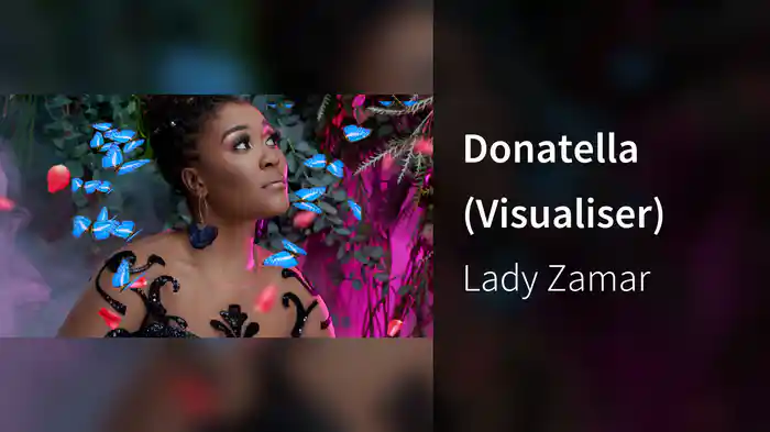 Donatella (Visualiser)