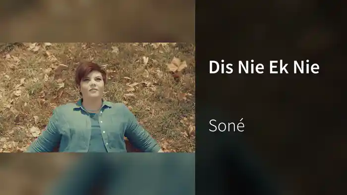 Dis Nie Ek Nie