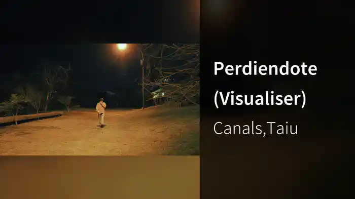 Perdiendote (Visualiser)