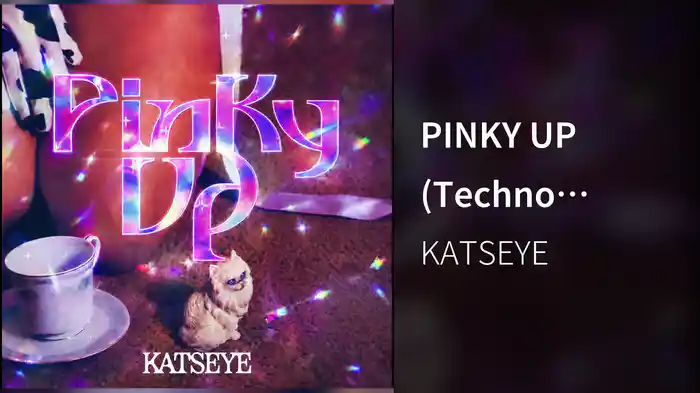 PINKY UP (Techno Remix/Audio)