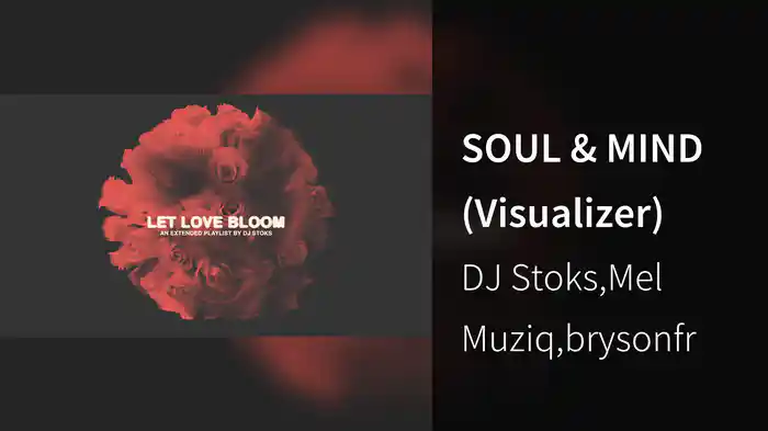 SOUL & MIND (Visualizer)