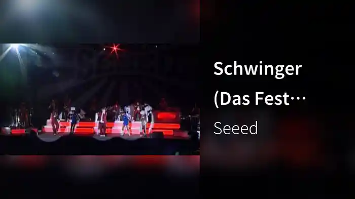 Schwinger (Das Fest Karlsruhe 2006 / Live)