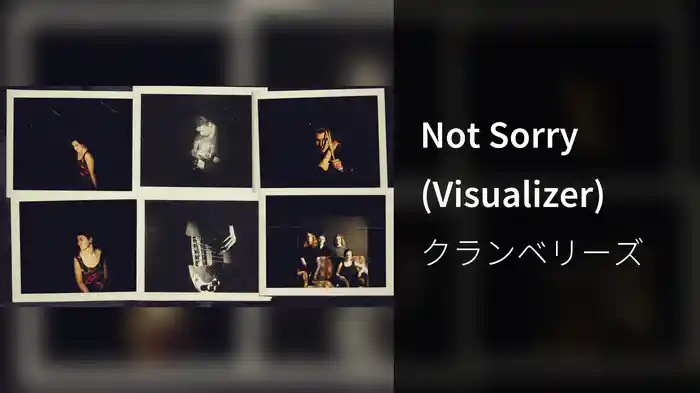 Not Sorry (Visualizer)