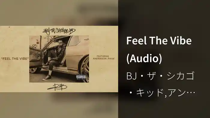 Feel The Vibe (Audio)
