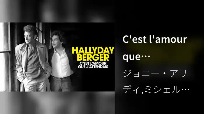 C'est l'amour que j'attendais