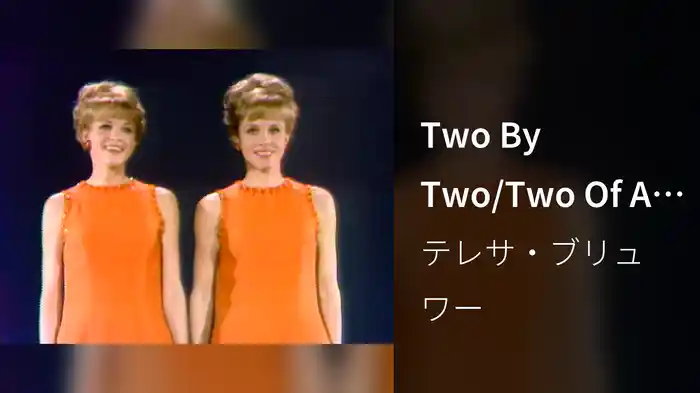 Two By Two/Two Of A Kind/Two Lost Souls (Medley/Live On The Ed Sullivan Show, April 24, 1966)