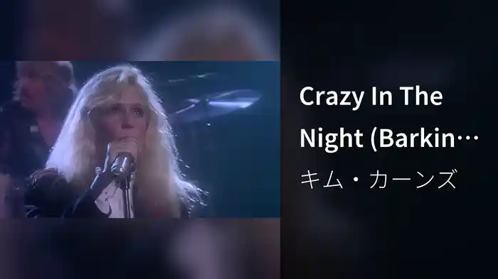 Crazy In The Night (Barking At Airplanes)