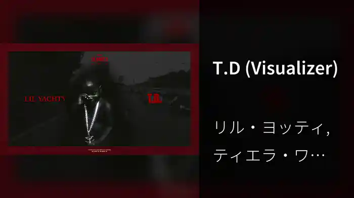 T.D (Visualizer)