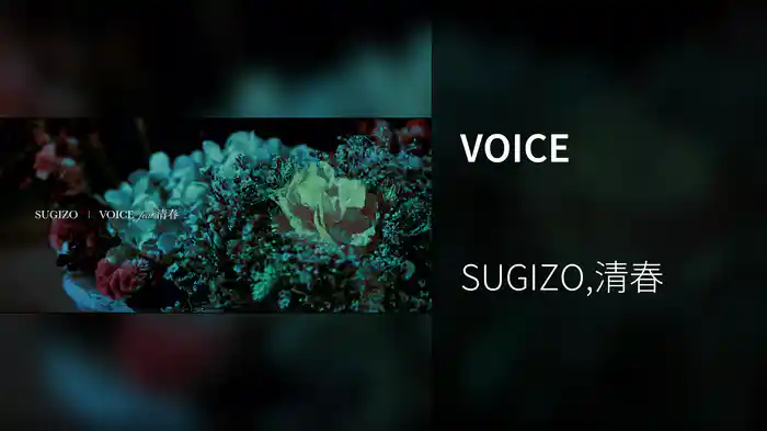 VOICE
