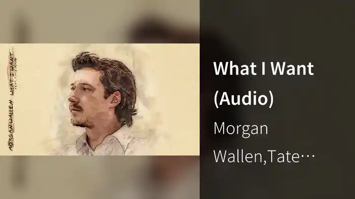 What I Want (Audio)