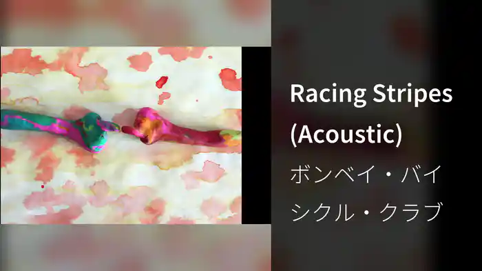 Racing Stripes (Acoustic)
