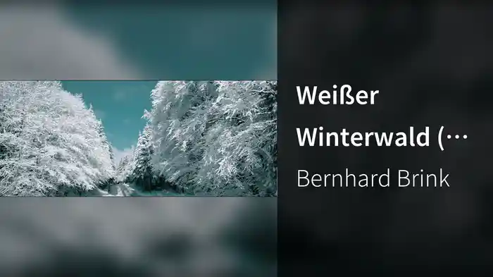 Weißer Winterwald (Winterwonderland)