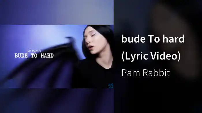 bude To hard (Lyric Video)