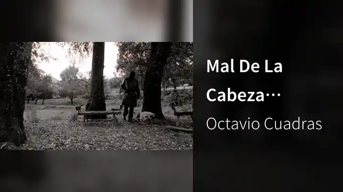 Mal De La Cabeza (Visualizer)