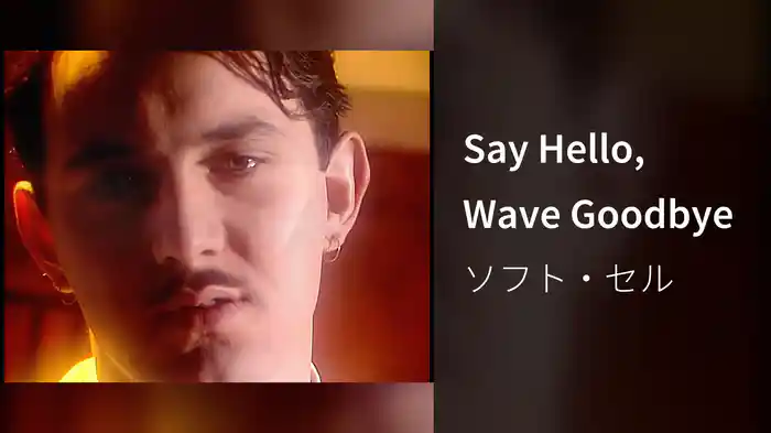 Say Hello, Wave Goodbye