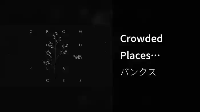 Crowded Places (Visualizer)