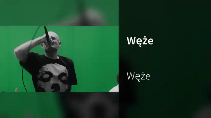 Węże