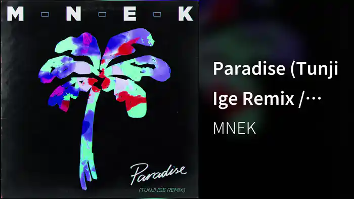 Paradise (Tunji Ige Remix / Audio)