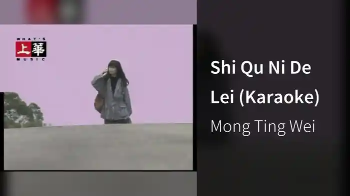 Shi Qu Ni De Lei (Karaoke)