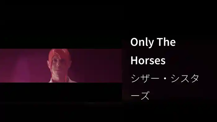 Only The Horses