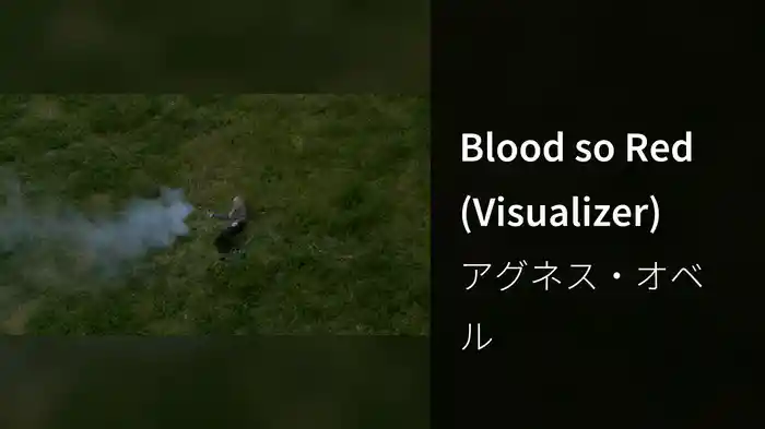 Blood so Red (Visualizer)