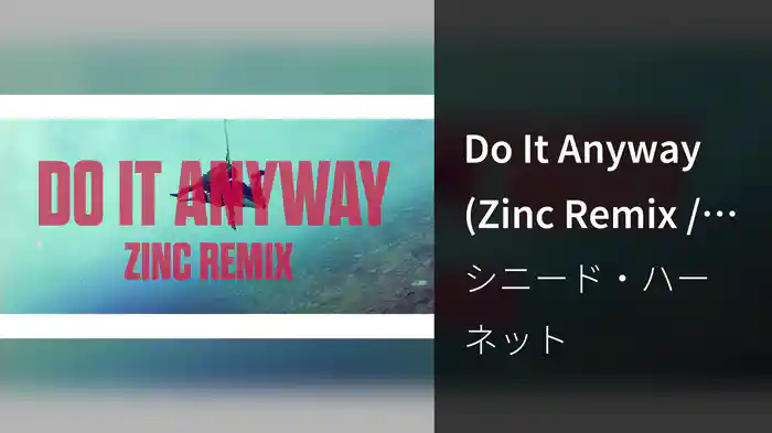 Do It Anyway (Zinc Remix / Audio)