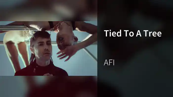 Tied To A Tree