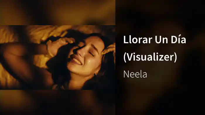 Llorar Un Día (Visualizer)