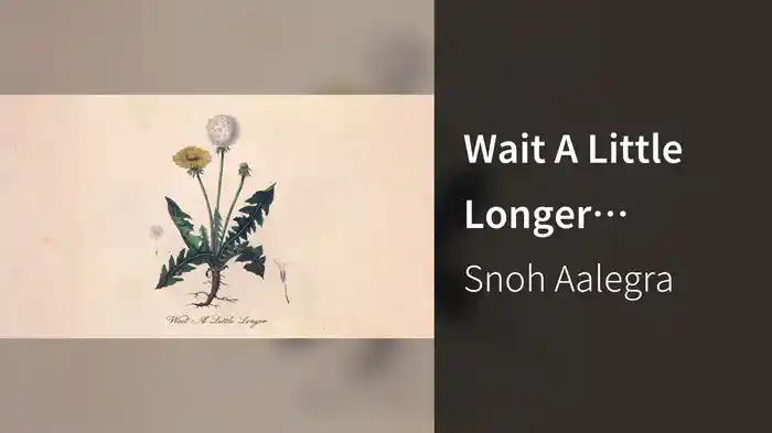 Wait A Little Longer (Visualizer)