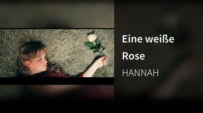 Eine weiße Rose