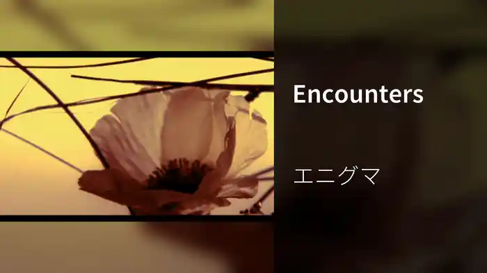 Encounters