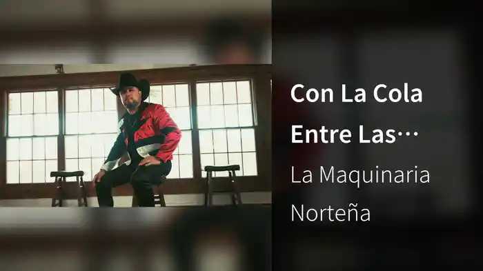 Con La Cola Entre Las Patas