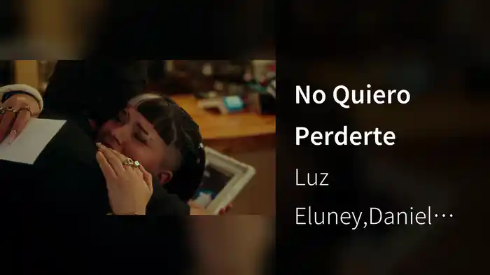 No Quiero Perderte