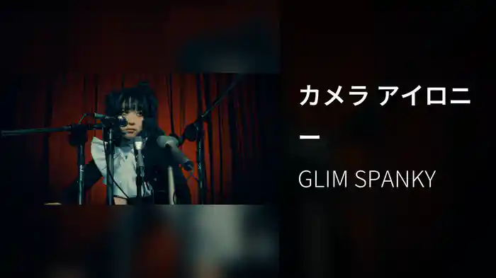 カメラ アイロニー