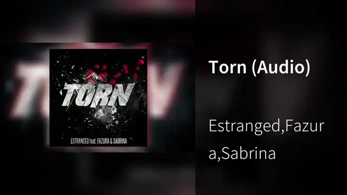 Torn (Audio)