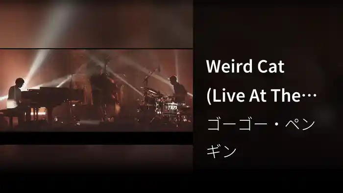 Weird Cat (Live At The Union Chapel, London / 2015)
