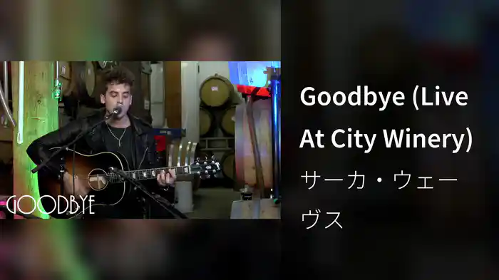 Goodbye (Live At City Winery)