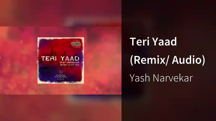 Teri Yaad (Remix/ Audio)
