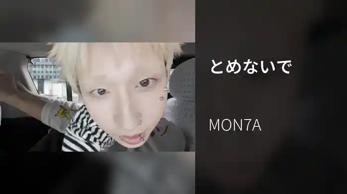 とめないで