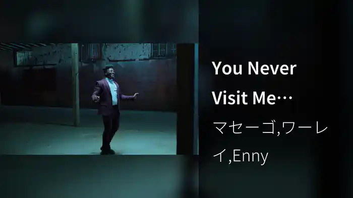 You Never Visit Me (Remix / Visualizer)